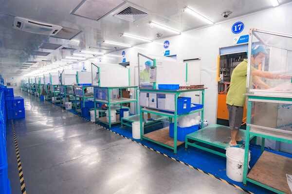 YMS production equipment and silicone molding machines